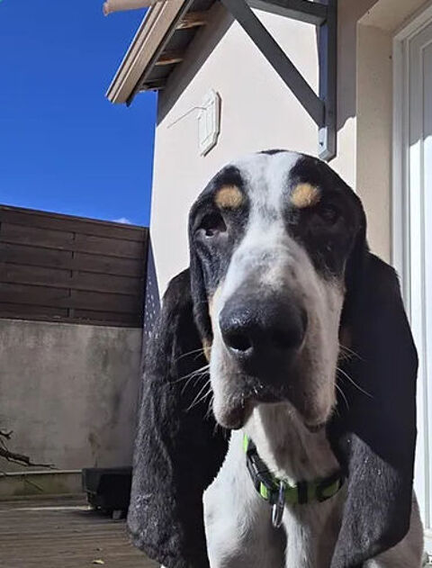 Eighteen 230 26700 Pierrelatte