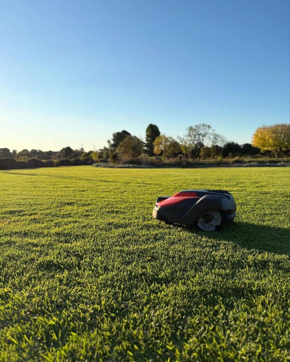 tondeuse robot husqvarma Jardin