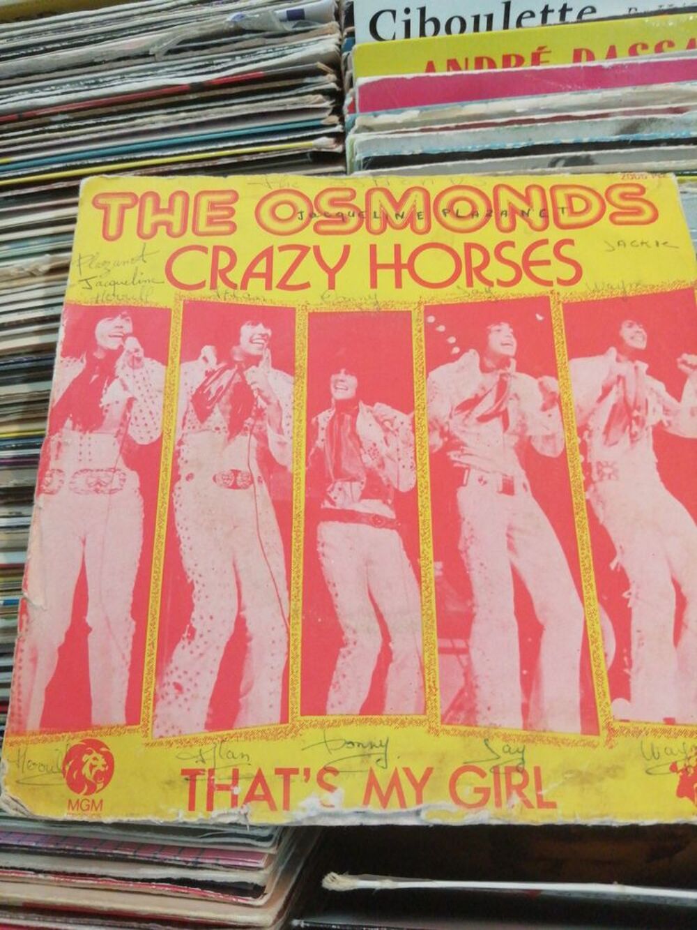 The osmonds crazy horse CD et vinyles