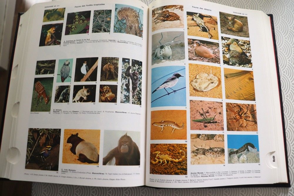 Dictionnaires encyclop&eacute;diques QUILLET ann&eacute;e 1977 Livres et BD