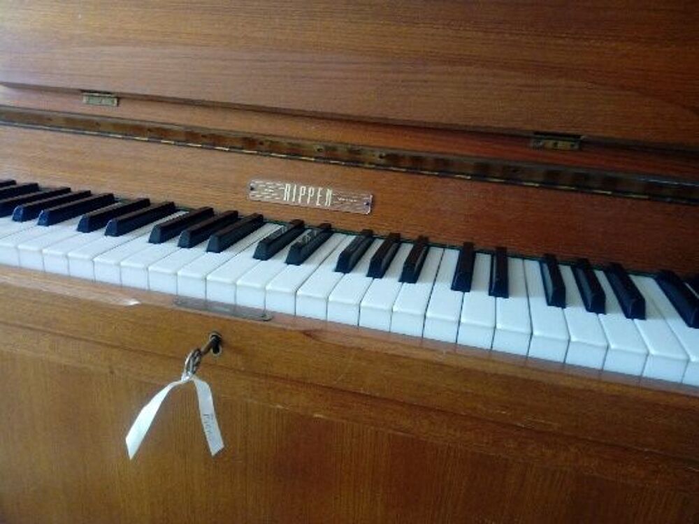 piano d'etude RIPPEN 8 octave Instruments de musique