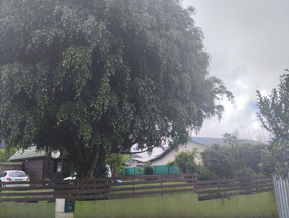 Vente Maison Exclusivité ORPI - Chalet bois T2 aux Makes La réunion