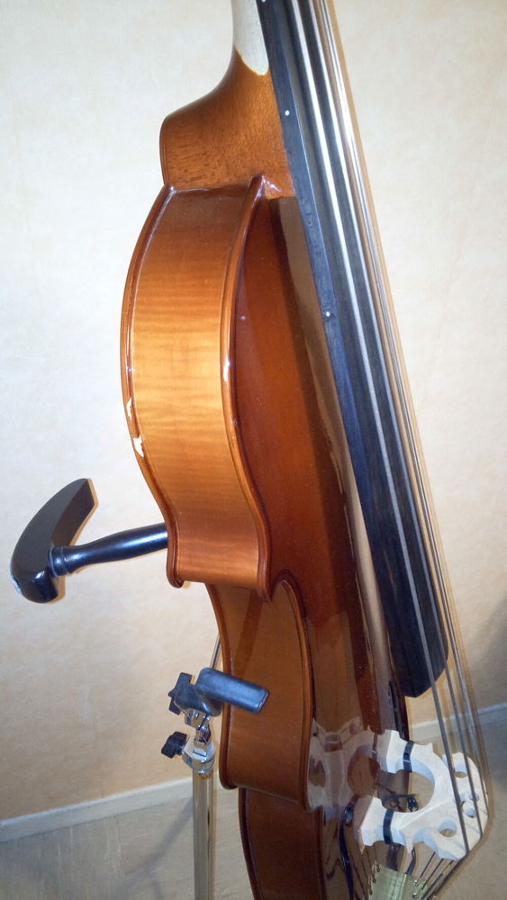 Contrebasse Eminence 5 Cordes Instruments de musique
