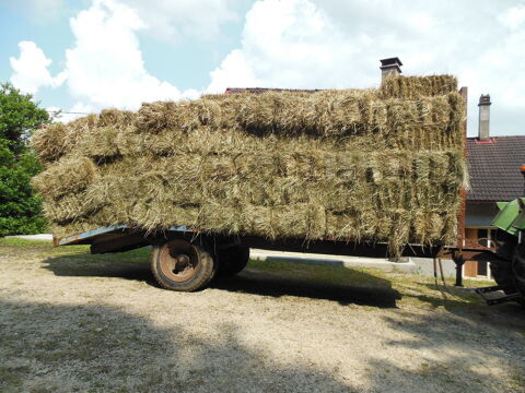 Bottes de foin moyenne densit 2023 01590 Dortan