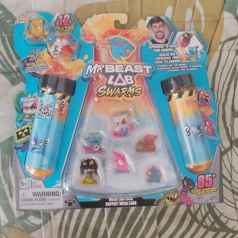 Mr Beast Lab Rochemaure (07)