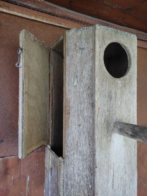 Nichoir grande perruche 25 45430 Ch�cy