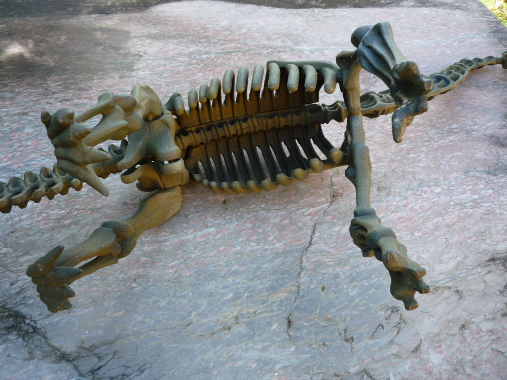 Squelette de dinosaure r&eacute;sine diplodocus
