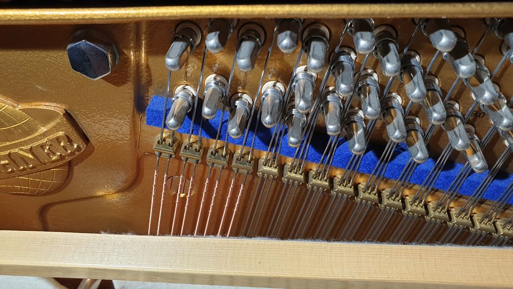 Bl&uuml;thner Mod&egrave;le A-124 Instruments de musique