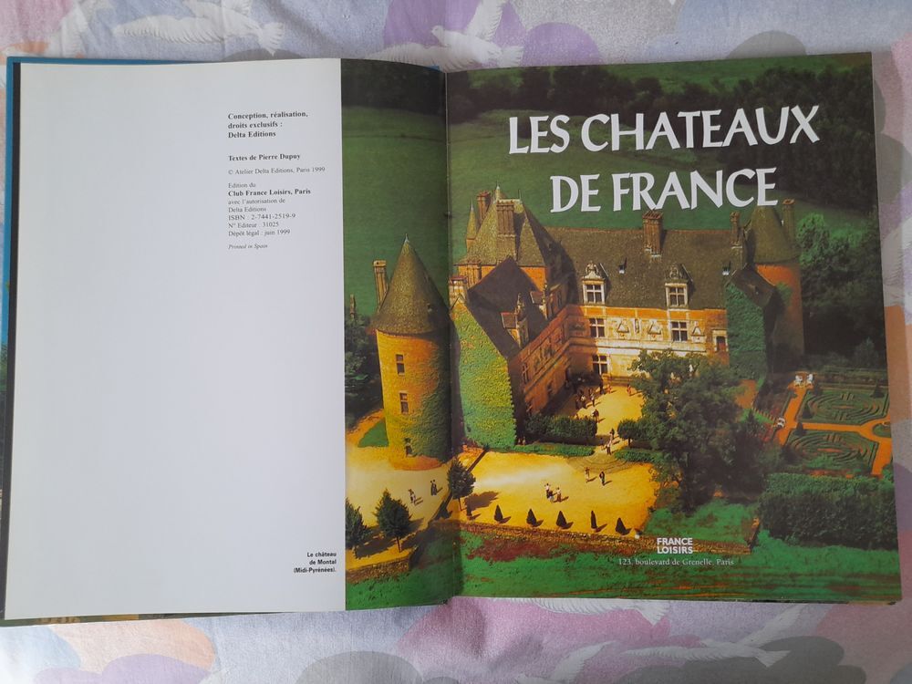 CHATEAUX et CHATEAUX FORTS de FRANCE Livres et BD