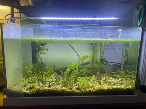 Aquarium 60 94400 Vitry-sur-seine