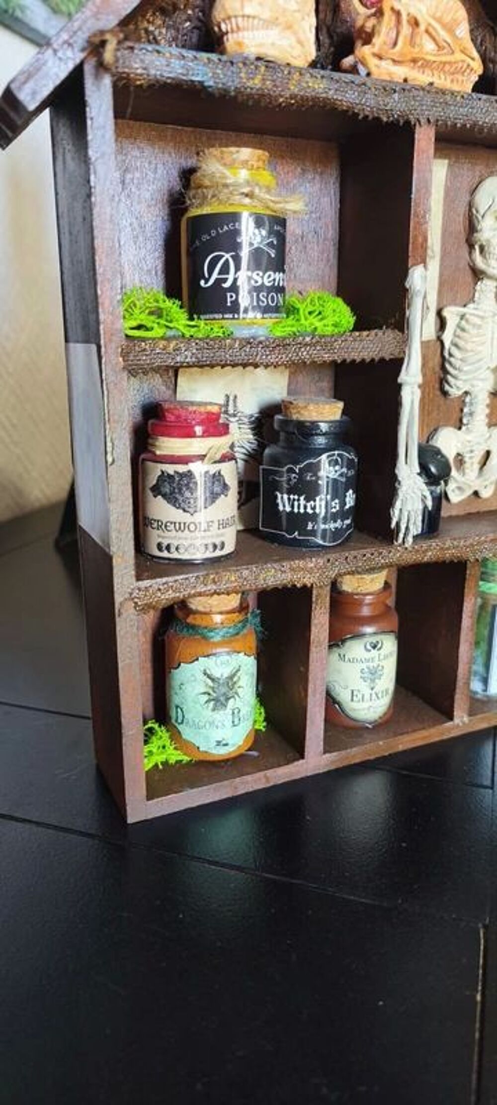 Petit cabinet de curiosit&eacute;s Décoration