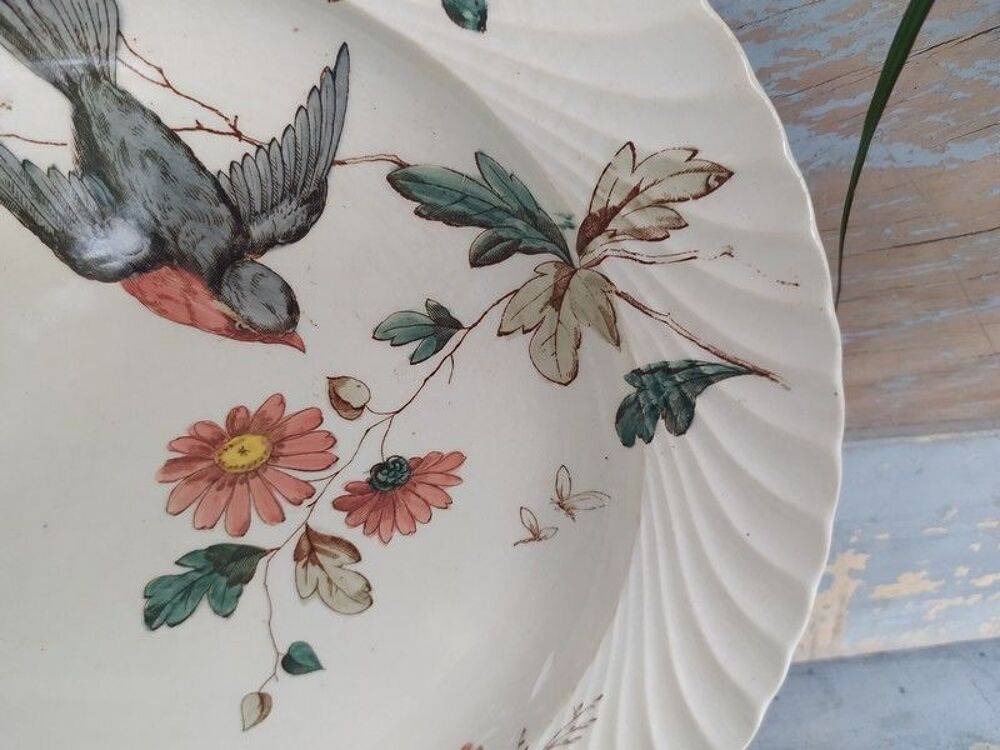 Assiette Fa&iuml;ence Anglaise XIX&egrave;me D&eacute;cor Fleurs et Oiseau
Décoration