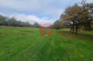  Maison � vendre 15 + pi�ces 665 m�