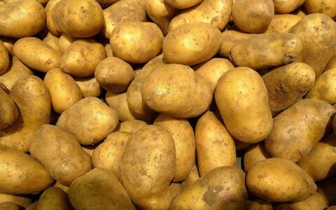 Pommes de Terre (Annabelle ou Agata)
1 Saint-Aignan (41)