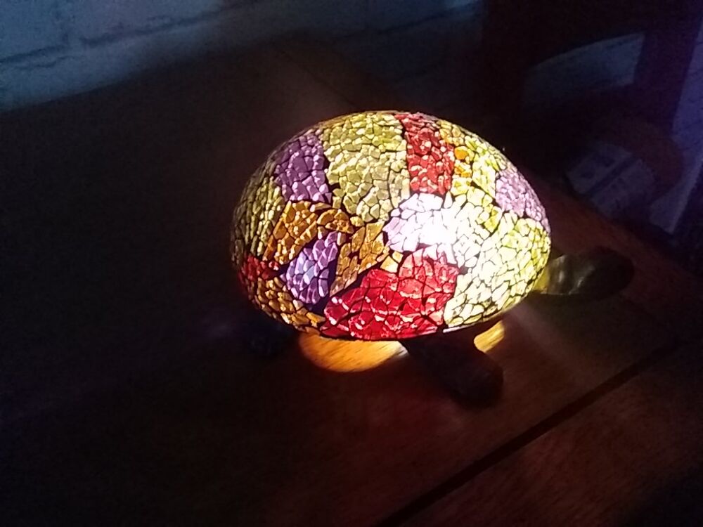 TORTUE MULTI COULEURS (( lampe ))
bronze et verre . Décoration
