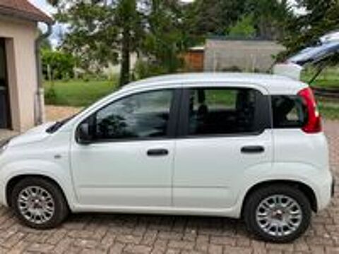 Panda 1.0 70 ch Hybride BSG S/S City 2022 occasion 03200 Vichy