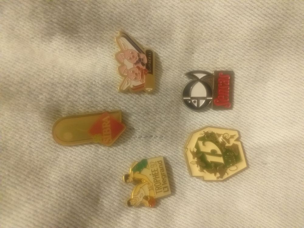lot de 5 pins d'hiver 