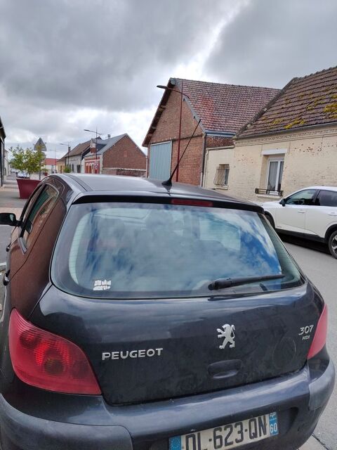 Peugeot 307 2.0 HDi - 90 Pack 2004 occasion Méharicourt 80170