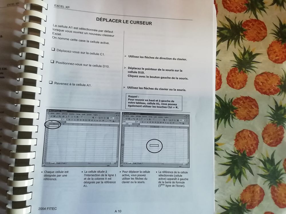 Cahier initiation EXEL XP stage FITEC Matériel informatique