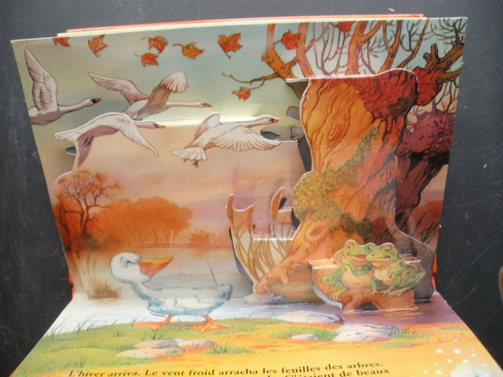 Livre 3D : Le Vilain Petit Canard Livres et BD