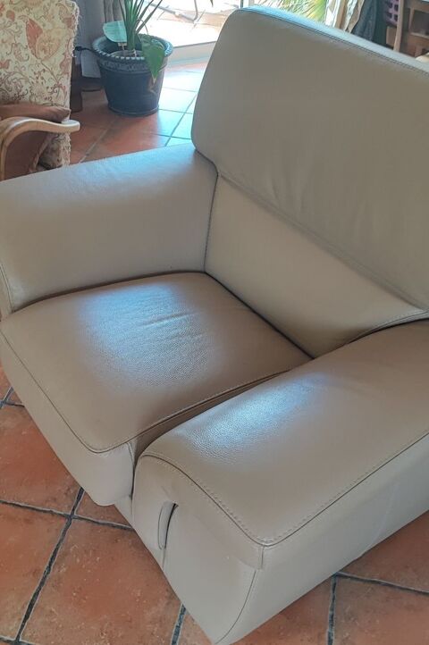 Fauteuil cuir 650 Pont-Saint-Esprit (30)