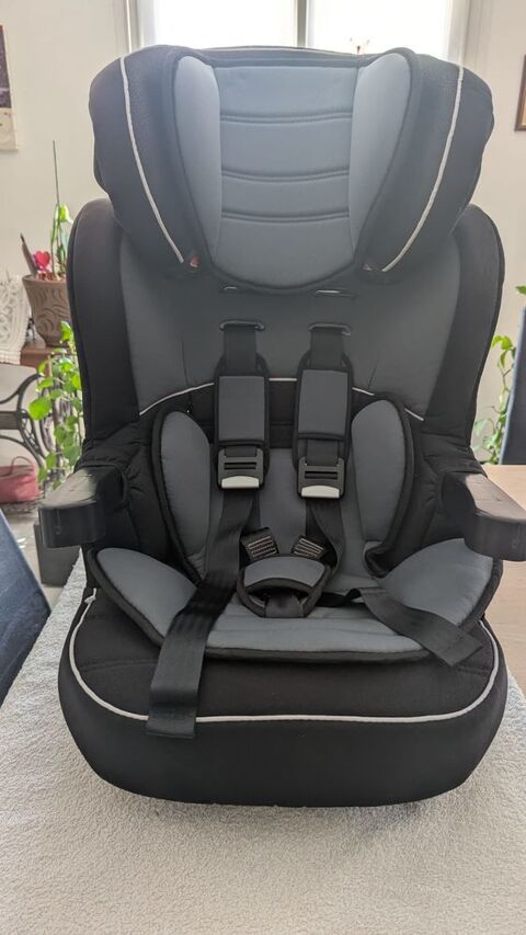 Si�ge auto 9-18 kg 45 Courtisols (51)