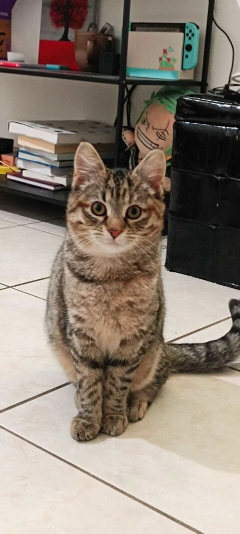 Aur&eacute;a 230 44000 Nantes