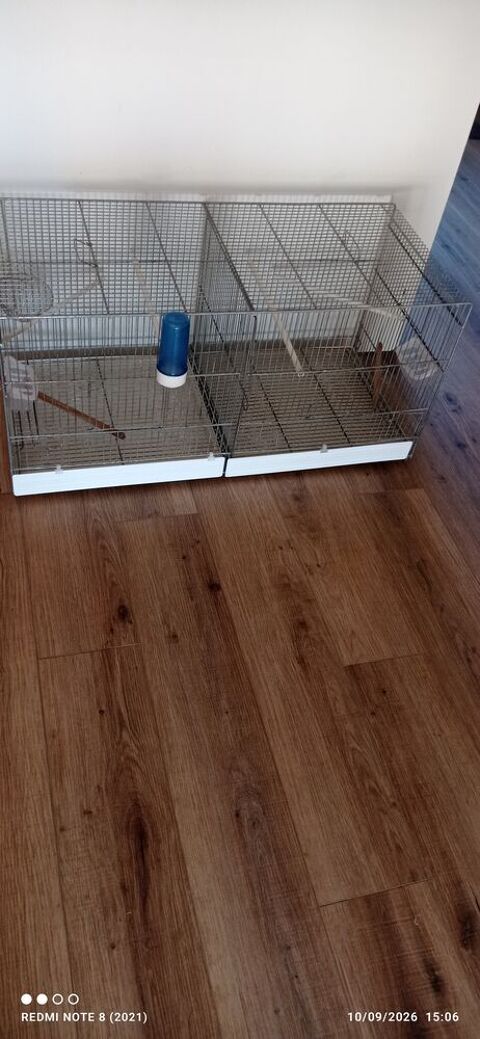 Cage reproduction 60 33300 Bordeaux