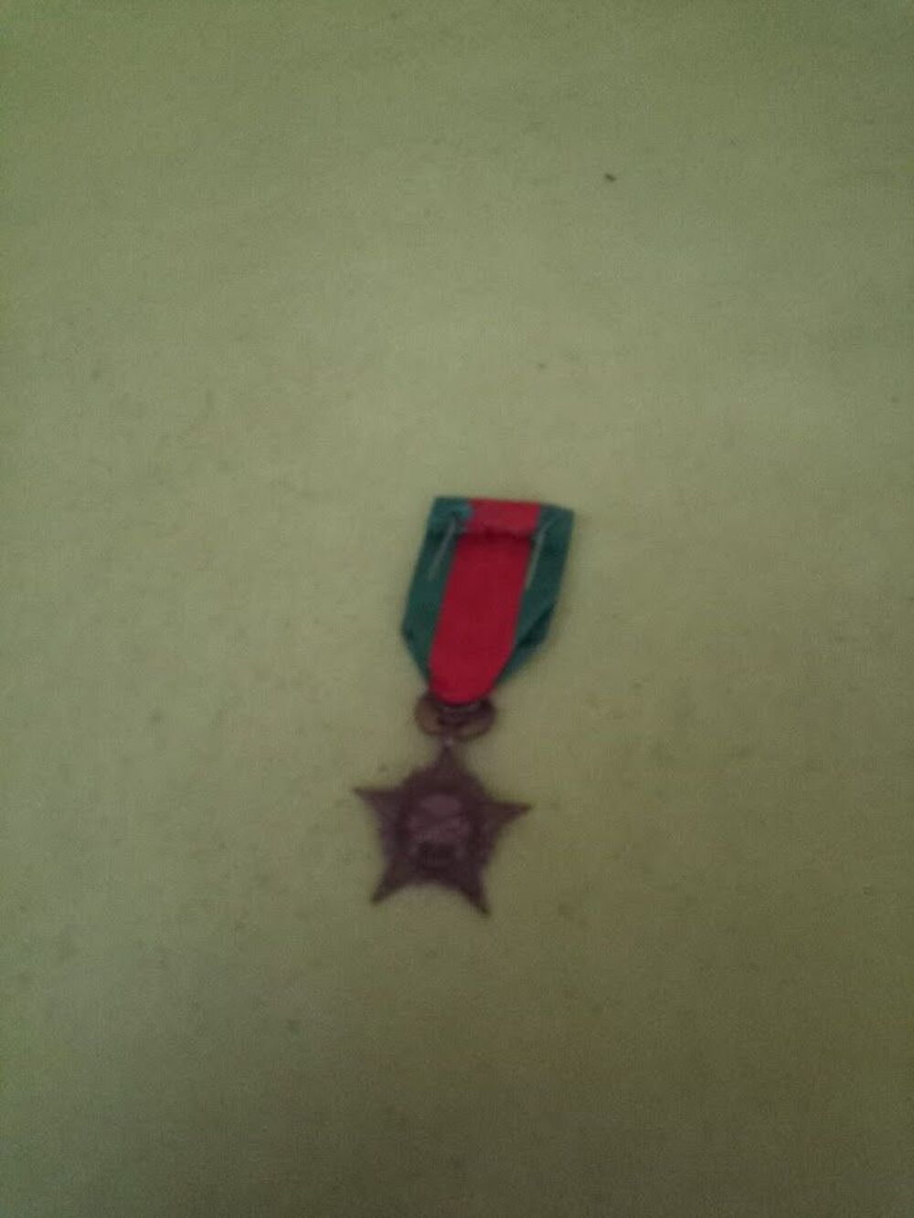 M&eacute;daille "Rhin et Danube" 