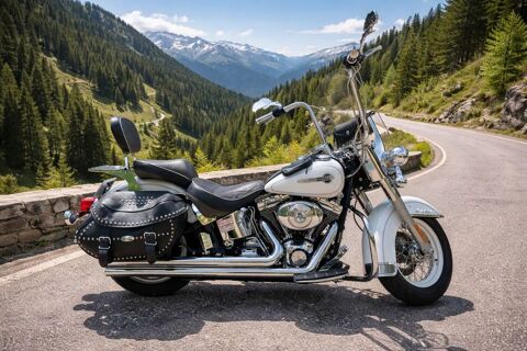Moto HARLEY-DAVIDSON 2004 occasion Saint-Marcel-l&egrave;s-Sauzet 26740