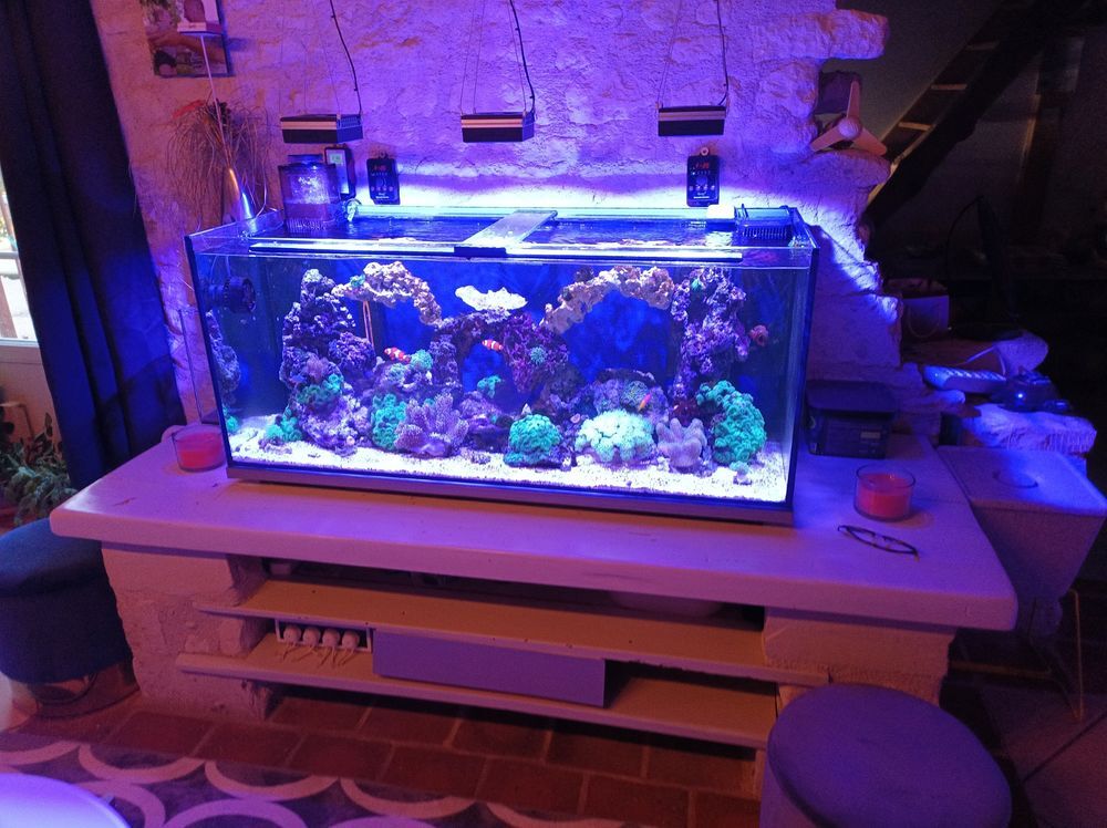  aquarium complet 300l  