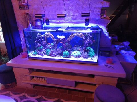 aquarium complet 300l 450 86220 Les ormes