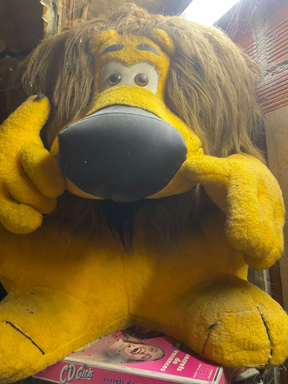Lion officiel LCL 80 cm 