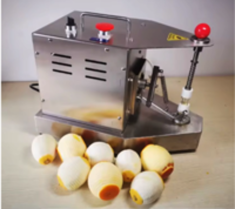   Machine à Peler les Fruits Semi-Automatique Éplucheur  