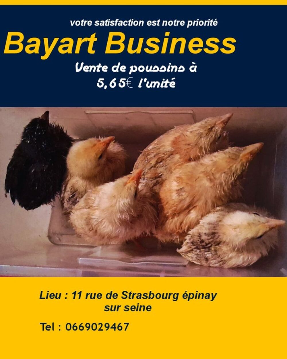   Poussins 5 euros 65 centimes  
