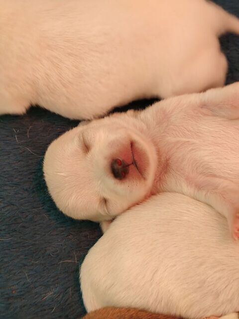 A r&eacute;server 1100 82400 Valence