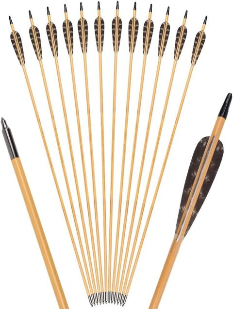 SPORT      RECHECHE   FLECHE   OCCASSION POUR   ARC 0 Amiens (80)