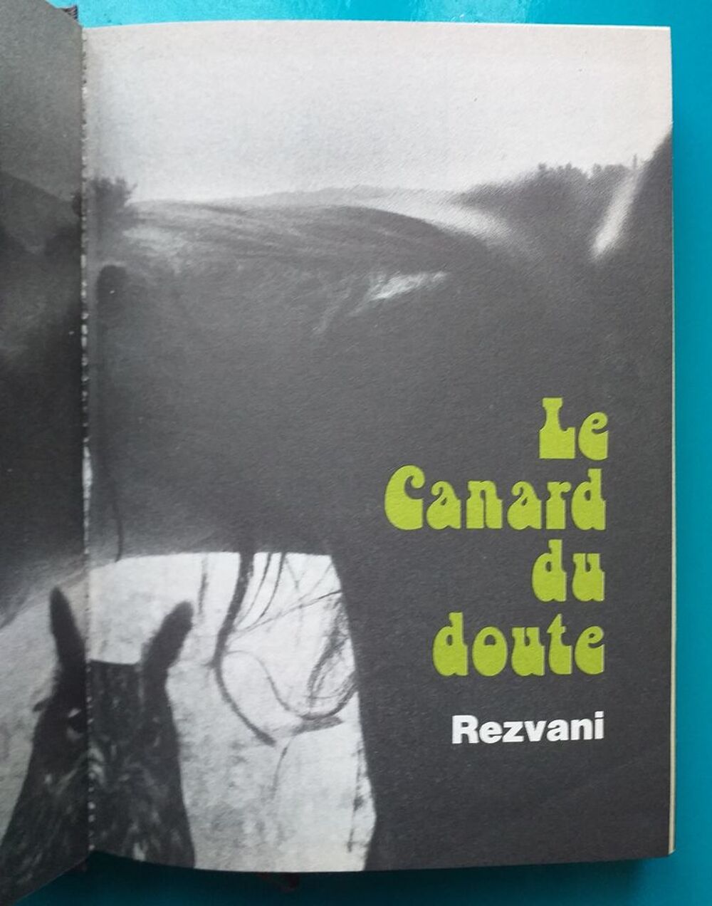 REZVANI : le canard du doute - biblioth&egrave;que du temps pr&eacute;sent Livres et BD