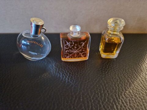 Lot de parfums miniatures  20 Saint-Nicolas-de-la-Haie (76)