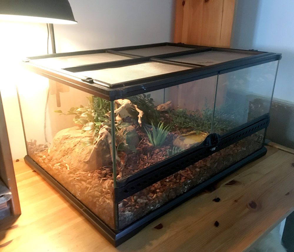 Terrarium &eacute;quip&eacute; pour serpents des bl&eacute;s Meubles