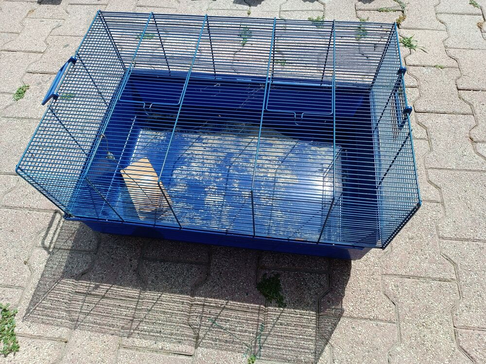 Cage rongeur Jardin