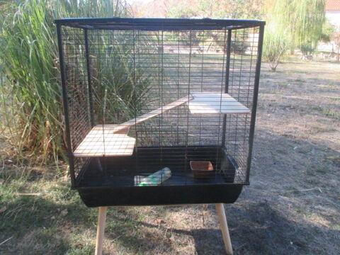 cage pour Furet ou Rongeur 35 18200 Saint-amand-montrond
