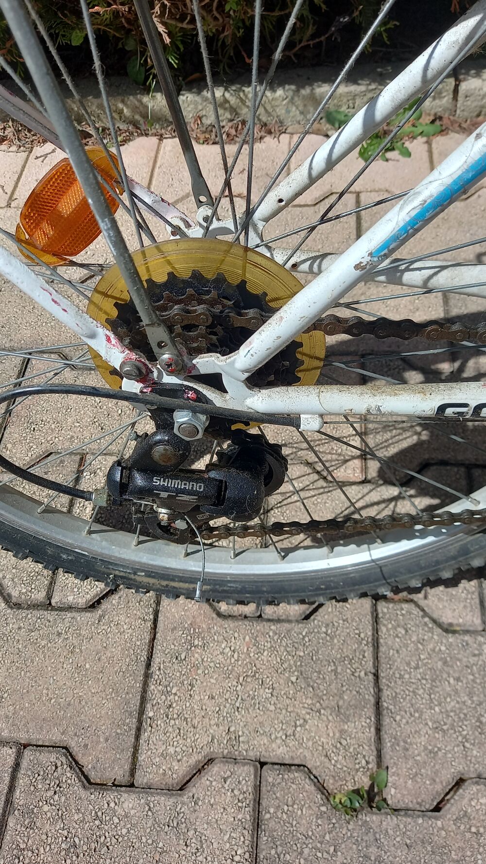 Un v&eacute;lo pour les balades en famille. Vélos