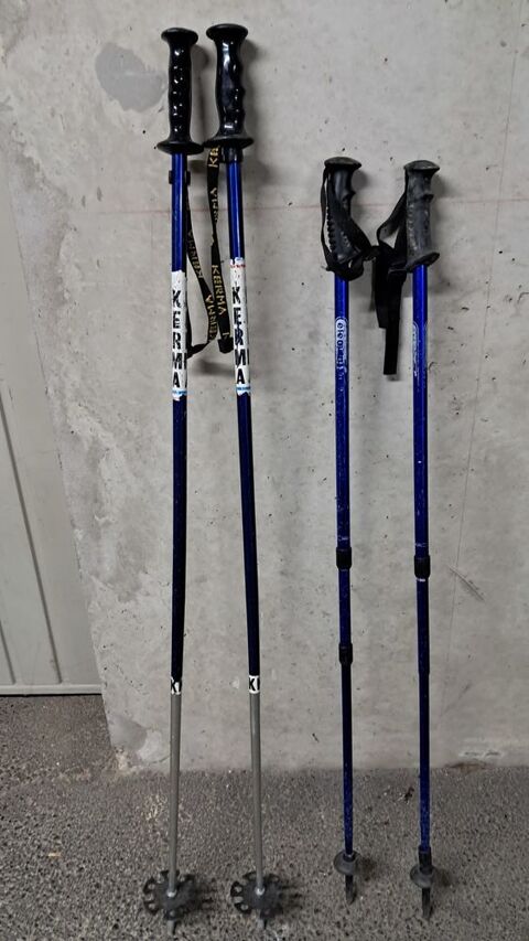 Bâtons de ski Viviers-du-Lac (73)