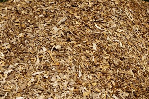 Copeaux de bois La Châtre (36)