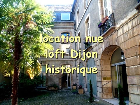   T3 esprit LOFT Dijon Historique Appartement - 3 pi�ce(s) - 53 m�