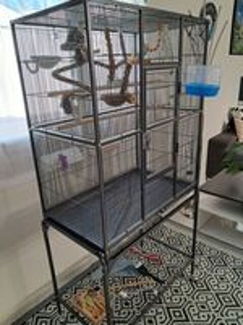   Cage + Oiseau 