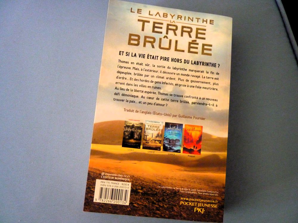 Livre le labyrinthe La terre br&ucirc;l&eacute;e best seller James Dashne Livres et BD
