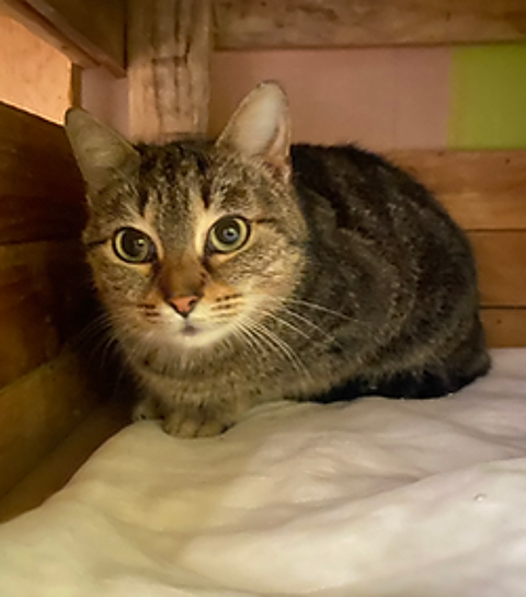 Telma 200 26700 Pierrelatte