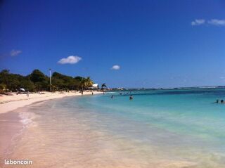  Appartement � louer 2/3 pi�ces 28 m�